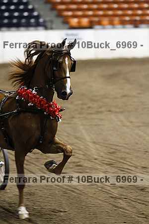 Proof Number 10buck_6969