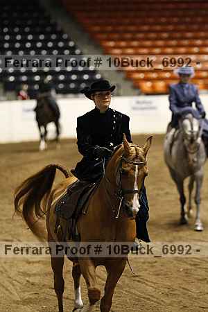 Proof Number 10buck_6992