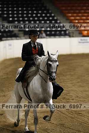 Proof Number 10buck_6997