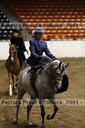 Proof Number 10buck_7001