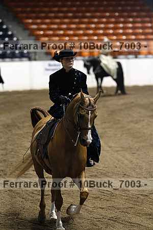 Proof Number 10buck_7003
