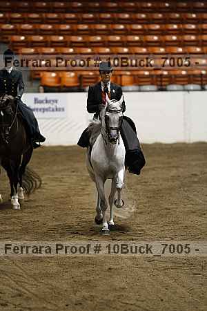 Proof Number 10buck_7005