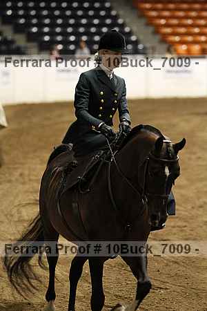 Proof Number 10buck_7009