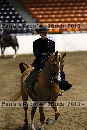 Proof Number 10buck_7013