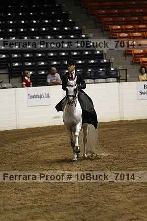 Proof Number 10buck_7014