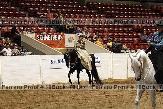 Proof Number 10buck_7019