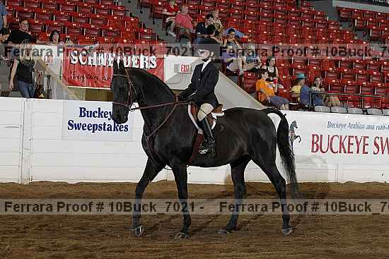 Proof Number 10buck_7021