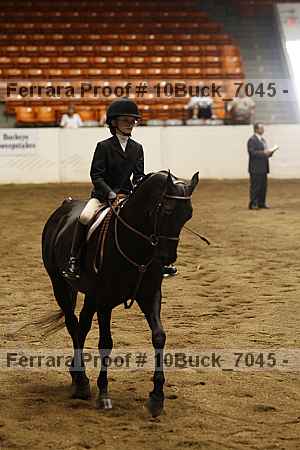 Proof Number 10buck_7045