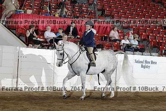 Proof Number 10buck_7047