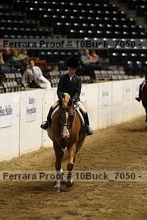 Proof Number 10buck_7050