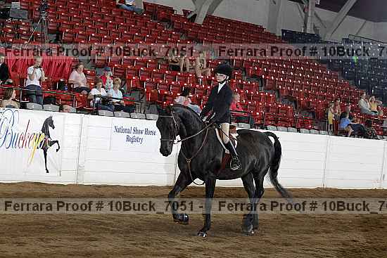 Proof Number 10buck_7051