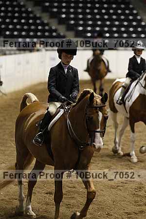 Proof Number 10buck_7052