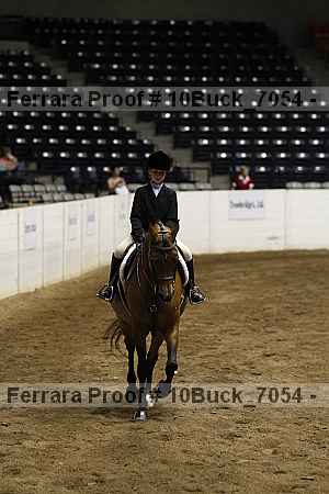 Proof Number 10buck_7054