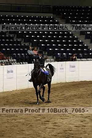 Proof Number 10buck_7065