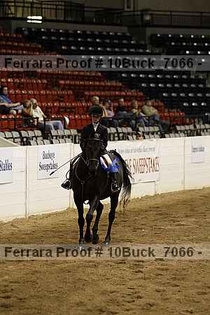 Proof Number 10buck_7066