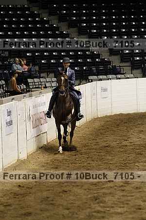 Proof Number 10buck_7105