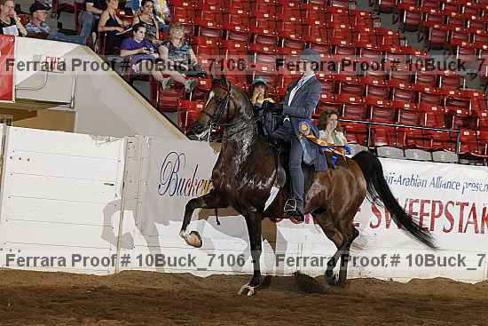 Proof Number 10buck_7106