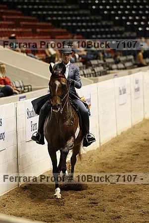 Proof Number 10buck_7107