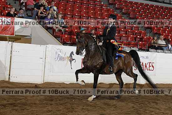 Proof Number 10buck_7109