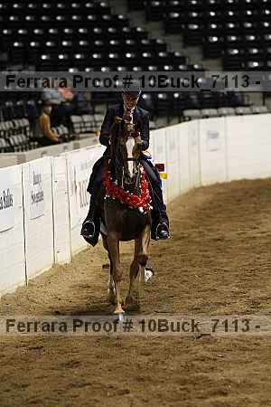 Proof Number 10buck_7113