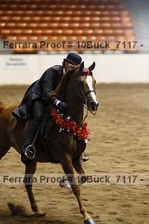 Proof Number 10buck_7117