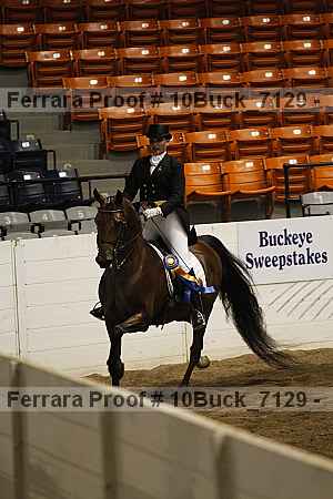 Proof Number 10buck_7129