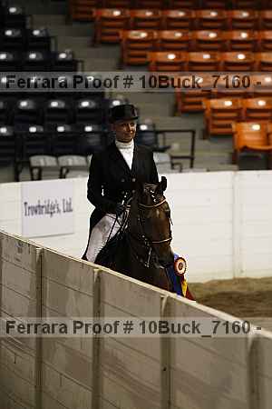 Proof Number 10buck_7160