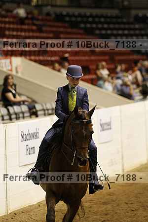 Proof Number 10buck_7188