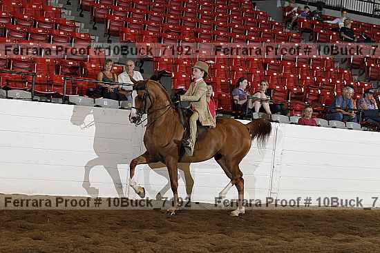 Proof Number 10buck_7192