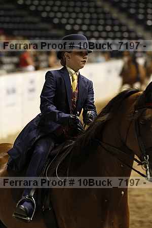 Proof Number 10buck_7197