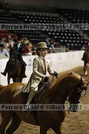 Proof Number 10buck_7202