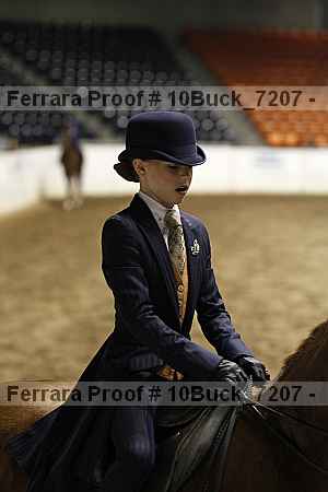 Proof Number 10buck_7207