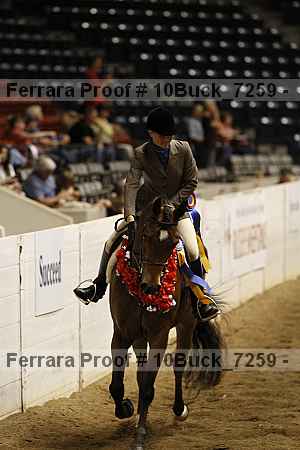 Proof Number 10buck_7259