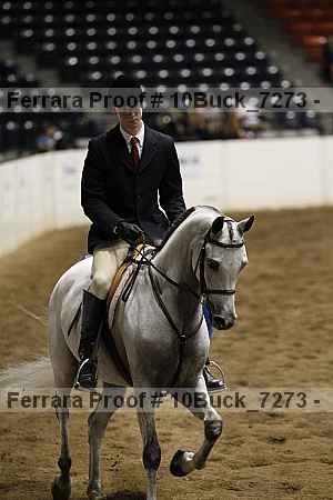 Proof Number 10buck_7273