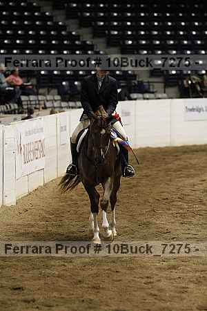 Proof Number 10buck_7275