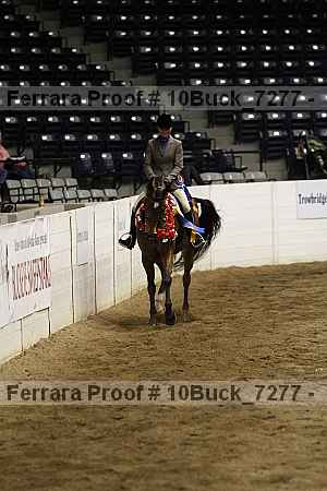 Proof Number 10buck_7277