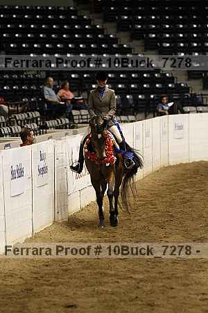 Proof Number 10buck_7278