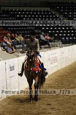 Proof Number 10buck_7279