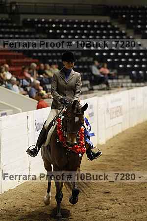 Proof Number 10buck_7280
