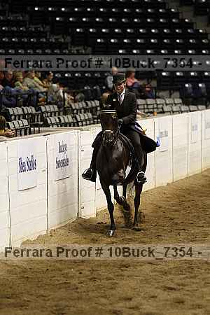 Proof Number 10buck_7354