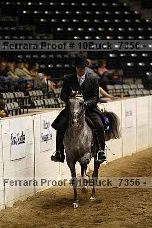 Proof Number 10buck_7356