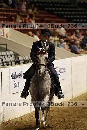 Proof Number 10buck_7361