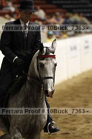 Proof Number 10buck_7363
