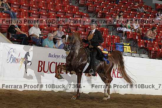 Proof Number 10buck_7364