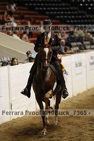 Proof Number 10buck_7365