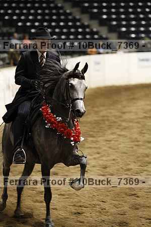 Proof Number 10buck_7369