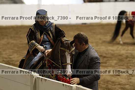 Proof Number 10buck_7390