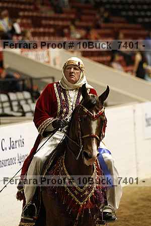 Proof Number 10buck_7401