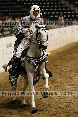 Proof Number 10buck_7403