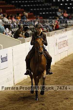 Proof Number 10buck_7474